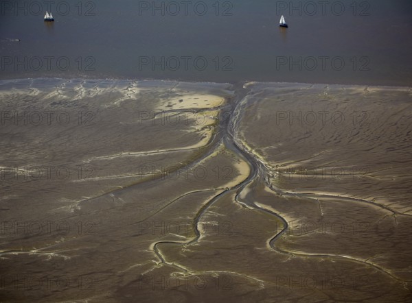 Elbe, tidal flats at low tide on an island in the Elbe near Wedel and Jork, Wedel, Lower Saxony, Germany, Free and Hanseatic City of Hamburg, Schleswig-Holstein, Europe, aerial photograph, birds-eyes view, aerial photography, aerial photography, overview, bird's eye view