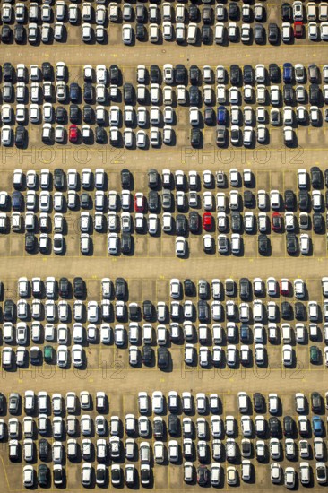 BLG AutoTerminal Hamburg, car loading in Hamburg harbour, car dump, Hamburg harbour, Elbe, Hamburg, Free and Hanseatic City of Hamburg, Germany, Europe, aerial view, birds-eyes view, aerial photography, aerial photography, overview, bird's eye view