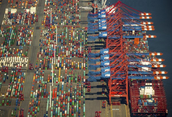 Container loading, container gantry cranes, container cranes, container ship, container freighter, container, container port Hamburg, CTA, Container Terminal Altenwerder, Hamburg-Altenwerder, Port of Hamburg, Elbe, Hamburg, Free and Hanseatic City of Hamburg, Germany, Europe, aerial view, birds-eyes view, aerial photograph, aerial photography, aerial photography, overview, overview, bird's eye view