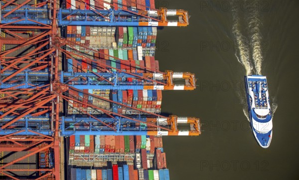Harbour tour excursion ship, container loading, container gantry cranes, container cranes, container ship, container freighter, container, container port Hamburg, CTA, Container Terminal Altenwerder, Hamburg-Altenwerder, Hamburg harbour, Elbe, Hamburg, Free and Hanseatic City of Hamburg, Germany, Europe, aerial view, birds-eyes view, aerial photography, aerial photography, overview, bird's eye view