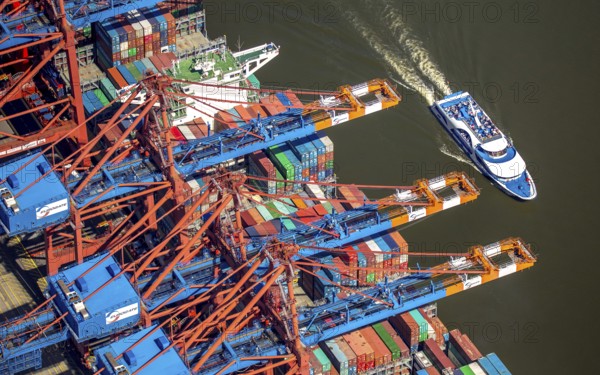 Harbour tour excursion ship, container loading, container gantry cranes, container cranes, container ship, container freighter, container, container port Hamburg, CTA, Container Terminal Altenwerder, Hamburg-Altenwerder, Hamburg harbour, Elbe, Hamburg, Free and Hanseatic City of Hamburg, Germany, Europe, aerial view, birds-eyes view, aerial photography, aerial photography, overview, bird's eye view