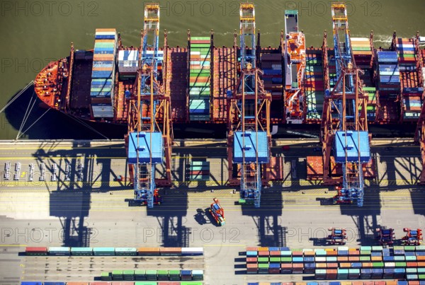Hanjin container ship, container loading, container gantry cranes, container cranes, container ship, container freighter, container, container port of Hamburg, CTA, Container Terminal Altenwerder, Hamburg-Altenwerder, Port of Hamburg, Elbe, Hamburg, Free and Hanseatic City of Hamburg, Germany, Europe, aerial view, birds-eyes view, aerial photography, aerial photography, overview, bird's eye view