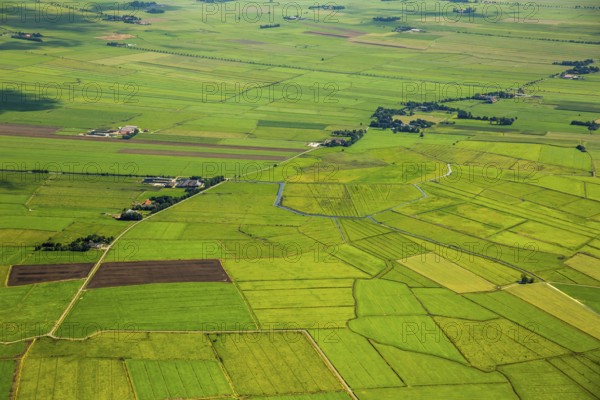 Fields in the polder land, drainage ditches in the marshes, green landscape, Bunde unified municipality in the East Frisian district of Leer, Emsland, Lower Saxony, Germany, Bunde, Europe, aerial view, birds-eyes view, aerial photography, aerial photography, overview, bird's eye view