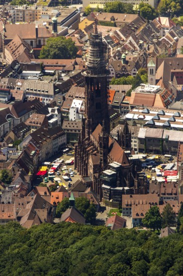 Freiburg Minster with market square, Freiburg im Breisgau, Breisgau, Baden-Württemberg, Germany, Europe, aerial view, birds-eyes view, aerial photography, aerial photography, overview, bird's eye view, university city, trinational metropolitan region Upper Rhine