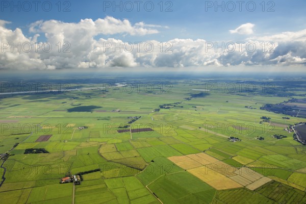 Fields in the polders, drainage ditches in the marshes, green landscape, Bunde, Emsland, Lower Saxony, Germany, Europe, aerial view, birds-eyes view, aerial photography, aerial photography, overview, bird's eye view
