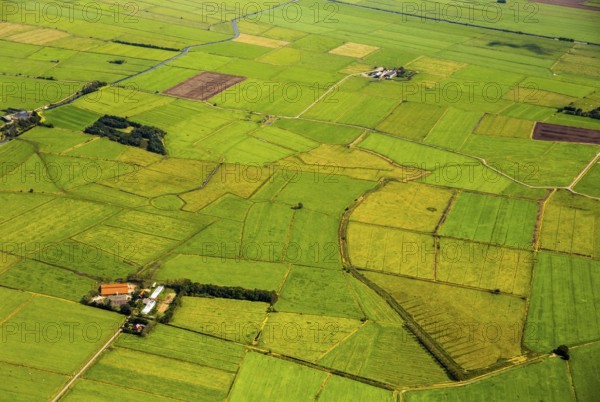 Fields in the polder land, drainage ditches in the marshes, green landscape, Bunde unified municipality in the East Frisian district of Leer, Emsland, Lower Saxony, Germany, Bunde, Europe, aerial view, birds-eyes view, aerial photography, aerial photography, overview, bird's eye view