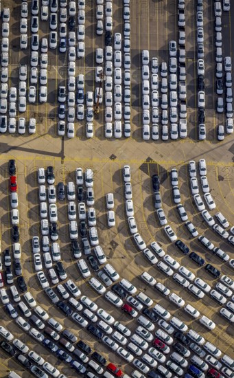UniKai shipping of cars and lorries to Africa, car queues, car dump, cargo vehicles, new vehicles, car loading, Hamburg, Germany, Europe, aerial photo, birds-eyes view, aerial photography, aerial photography, aerial photography, overview, bird's eye view