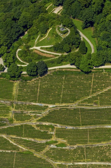 Viticulture at Freiburg Schlossberg in Oberau, Ludwigshöhe, Freiburg im Breisgau, Breisgau, Baden-Württemberg, Germany, Europe, aerial view, birds-eyes view, aerial photography, aerial photography, overview, bird's eye view, university city, trinational metropolitan region Upper Rhine
