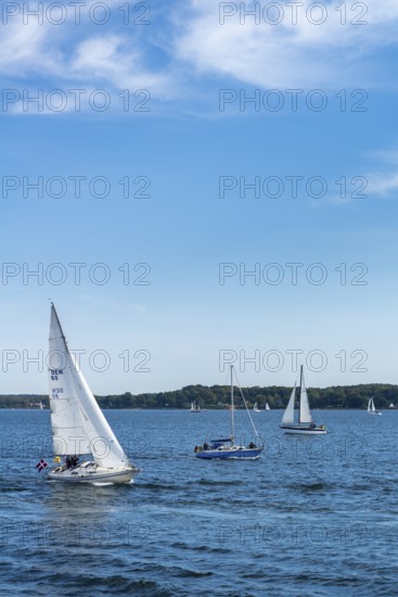 Sailboats on Kiel Fjord, Kiel, Holtenau district, Baltic Sea, wind, baluer sky, shore, forest, Danish boat, flag, Schleswig-Holstein, Germany