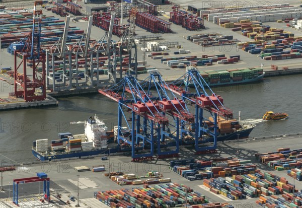 Container port, Waltershofer Hafen, container ships, Eurogate, Eurogate Container Terminal, Port of Hamburg, Hamburg, Germany, Europe, aerial view, birds-eyes view, aerial photography, aerial photography, overview, bird's eye view