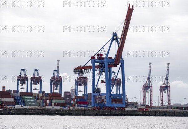 Loading cranes and stacks of containers, Port of Hamburg, container terminal, Hamburg, Germany