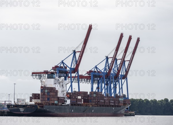 Container ship, loading cranes and stacks of containers, Port of Hamburg, container terminal, Hamburg, Germany