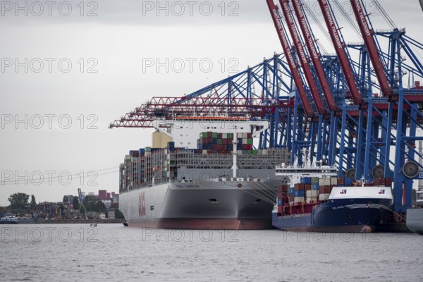 Container ships, loading cranes and stacks of containers, Port of Hamburg, container terminal, Hamburg, Germany