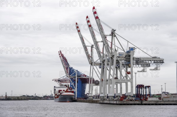 Container ship, loading cranes and stacks of containers, Port of Hamburg, container terminal, Hamburg, Germany