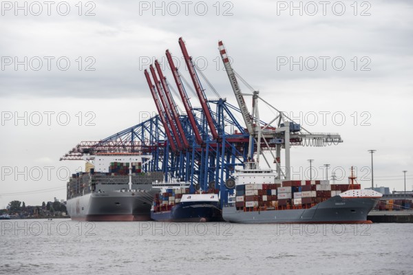 Container ships, loading cranes and stacks of containers, Port of Hamburg, container terminal, Hamburg, Germany