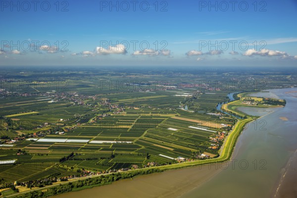 Finkenwerder, Altes Land, orchards, Hamburg, Free and Hanseatic City of Hamburg, Germany, Europe, aerial view, birds-eyes view, aerial photography, aerial photography, overview, overview, bird's eye view