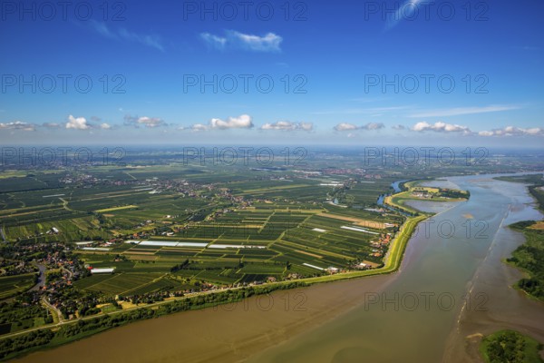 Finkenwerder, Altes Land, orchards, Hamburg, Free and Hanseatic City of Hamburg, Germany, Europe, aerial view, birds-eyes view, aerial photography, aerial photography, overview, overview, bird's eye view