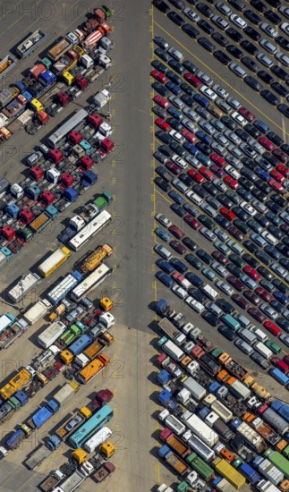 Used car loading at Hansahafen, Unikai in Hamburg harbour, Hamburg harbour, Elbe, Hamburg, Free and Hanseatic City of Hamburg, Germany, Europe, aerial view, birds-eyes view, aerial photography, aerial photography, overview, bird's eye view