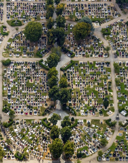 Cemetery Regensburg, Upper Catholic Cemetery Regensburg, row graves, military graves, Regensburg, independent city in Eastern Bavaria, Bavaria, Germany, Europe, aerial view, birds-eyes view, aerial photography, aerial photography, aerial photography, overview, bird's eye view