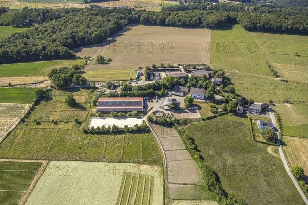 Aerial view, riding centre Oberste-Lehn, Gennebreck, Sprockhövel, Ruhr area, North Rhine-Westphalia, Germany, DE, Ennepe-Ruhr-Kreis, Europe, agriculture, agricultural fields, agricultural business, farm, aerial photography, aerial photography, aerial view, tractor mowing meadow, overview, bird's-eye view, meadows and fields, birds-eyes view, overview