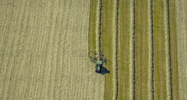 Aerial view, agricultural area, tractor mowing meadow, Gennebreck, Sprockhövel, Ruhr area, North Rhine-Westphalia, Germany, DE, Ennepe-Ruhr-Kreis, Europe, agriculture, agricultural fields, agricultural business, farm, aerial view, aerial photography, aerial photography, tractor, overview, bird's eye view, meadows and fields, birds-eyes view, overview