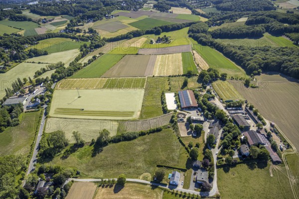 Aerial view, riding centre Oberste-Lehn, Gennebreck, Sprockhövel, Ruhr area, North Rhine-Westphalia, Germany, DE, Ennepe-Ruhr-Kreis, Europe, agriculture, agricultural fields, agricultural business, farm, aerial photography, aerial photography, aerial view, tractor mowing meadow, overview, bird's-eye view, meadows and fields, birds-eyes view, overview