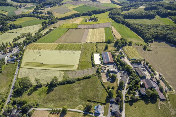 Aerial view, riding centre Oberste-Lehn, Gennebreck, Sprockhövel, Ruhr area, North Rhine-Westphalia, Germany, DE, Ennepe-Ruhr-Kreis, Europe, agriculture, agricultural fields, agricultural business, farm, aerial photography, aerial photography, aerial view, tractor mowing meadow, overview, bird's-eye view, meadows and fields, birds-eyes view, overview