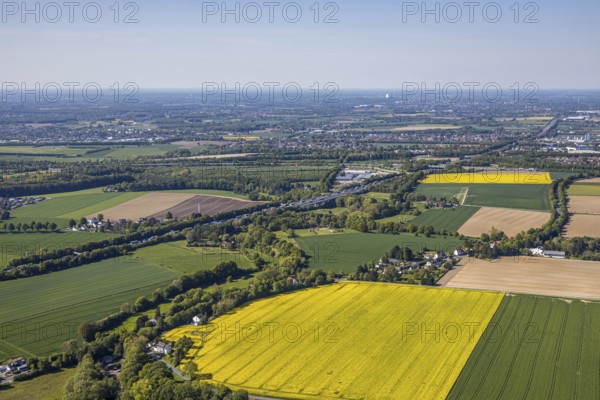 Aerial view, rape fields at the Massener Heide, motorway A1, Unna, Ruhr area, North Rhine-Westphalia, Germany, DE, Europe, distant view, shapes and colours, aerial view, aerial photography, aerial photography, natural landscape, overview, bird's-eye view, overview