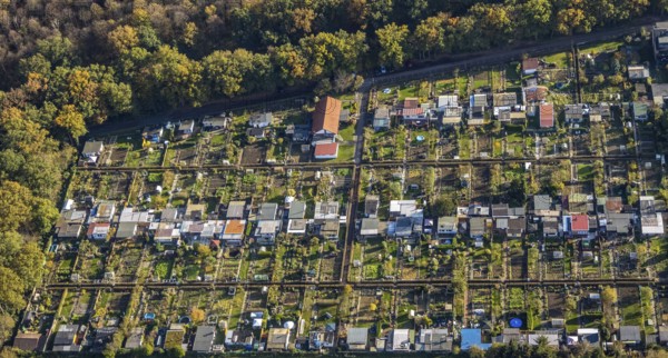 Aerial view, Gartenbauverein Bergmannslust e.V., Möllen, Voerde, Ruhr area, North Rhine-Westphalia, Germany, DE, Europe, shapes and colours, community garden, autumn colours, allotment garden association, allotment garden site, allotment garden association, aerial view, aerial photography, aerial photography, allotment garden, overview, bird's-eye view, woodland, birds-eyes view, overview