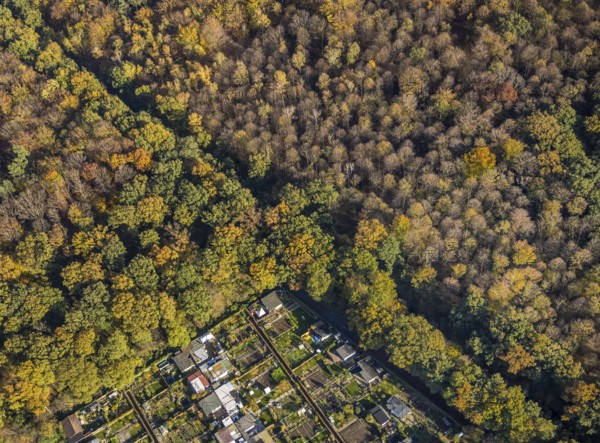 Aerial view, Gartenbauverein Bergmannslust e.V., Möllen, Voerde, Ruhr area, North Rhine-Westphalia, Germany, DE, Europe, shapes and colours, community garden, autumn colours, allotment garden association, allotment garden site, allotment garden association, aerial view, aerial photography, aerial photography, allotment garden, overview, bird's-eye view, woodland, birds-eyes view, overview