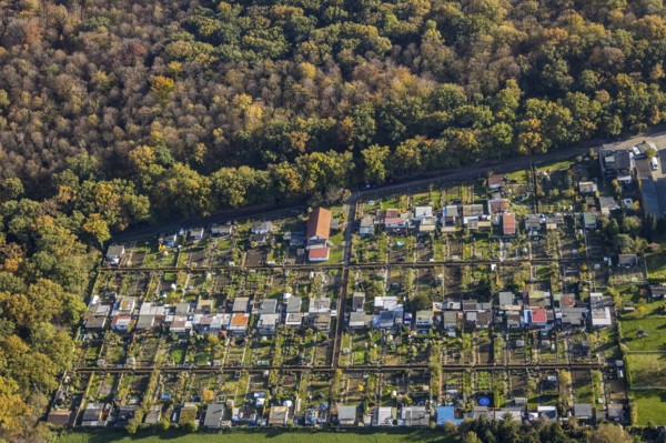 Aerial view, Gartenbauverein Bergmannslust e.V., Möllen, Voerde, Ruhr area, North Rhine-Westphalia, Germany, DE, Europe, shapes and colours, community garden, autumn colours, allotment garden association, allotment garden site, allotment garden association, aerial view, aerial photography, aerial photography, allotment garden, overview, bird's-eye view, woodland, birds-eyes view, overview