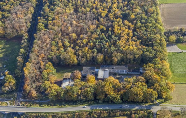 Aerial photo, Janusz-Korczak Förderschule, Im Wald, Möllen, Voerde, Ruhr area, North Rhine-Westphalia, Germany, education, educational institution, DE, Europe, autumn colours, educational institute, aerial photo, aerial photography, aerial photography, Peerdsbuschweg, Rahmstraße, school, overview, bird's eye view, forest area, birds-eyes view, overview