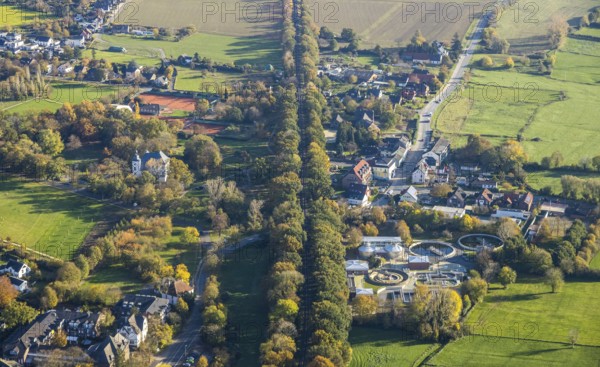 Aerial view, wooded railway line along Frankfurter Straße, reactivation of the Walsum railway, Voerde, Ruhr area, North Rhine-Westphalia, Germany, railway tracks, DE, Europe, aerial view, aerial photography, aerial photography, overview, vegetation on tracks, bird's-eye view, overview, reactivated colliery railway line