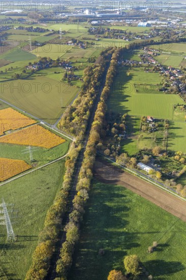 Aerial view, wooded railway line along Frankfurter Straße, reactivation of the Walsum railway, Voerde, Ruhr area, North Rhine-Westphalia, Germany, railway tracks, DE, Europe, agriculture, aerial view, aerial photography, aerial photography, overview, vegetation on tracks, bird's-eye view, overview, reactivated colliery railway line