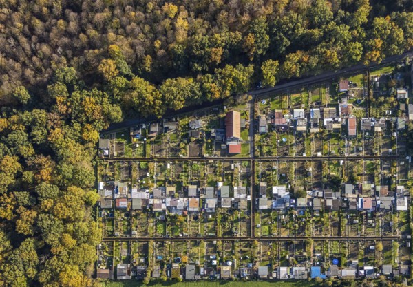 Aerial view, Gartenbauverein Bergmannslust e.V., Möllen, Voerde, Ruhr area, North Rhine-Westphalia, Germany, DE, Europe, shapes and colours, community garden, autumn colours, allotment garden association, allotment garden site, allotment garden association, aerial view, aerial photography, aerial photography, allotment garden, overview, bird's-eye view, woodland, birds-eyes view, overview