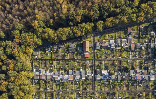 Aerial view, Gartenbauverein Bergmannslust e.V., Möllen, Voerde, Ruhr area, North Rhine-Westphalia, Germany, DE, Europe, shapes and colours, community garden, autumn colours, allotment garden association, allotment garden site, allotment garden association, aerial view, aerial photography, aerial photography, allotment garden, overview, bird's-eye view, woodland, birds-eyes view, overview