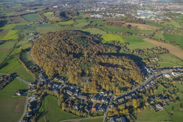 Aerial view, forest area Rayener Berg, sports field SuS Rayen, Rayen, Neukirchen-Vluyn, Ruhr area, North Rhine-Westphalia, Germany, DE, Europe, football field, football stadium, football club, autumn colours, autumn forest, landscape conservation area, aerial view, aerial photography, aerial photography, Schaephuysener Höhenzug, sports, sports facilities, sports field, sports facility, stadium, overview, bird's eye view, forest, meadows and fields, birds-eyes view, overview