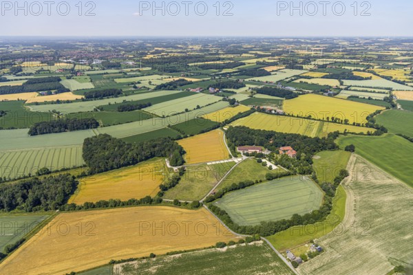 Aerial view, Haus-Giesking stud farm, moated castle, horse stud farm, Appelhülsen, Nottuln, Münsterland, North Rhine-Westphalia, Germany, castle, castle complex, DE, Europe, stud farm, moat, manor house, manor building, farmyard, agricultural fields, aerial view, aerial photography, aerial photography, aerial photography, parcels, horses, equestrian sports, private property, castle complex, castle garden, overview, bird's eye view, wooded area, moat, moated castle, meadows and fields, birds-eyes view, overview