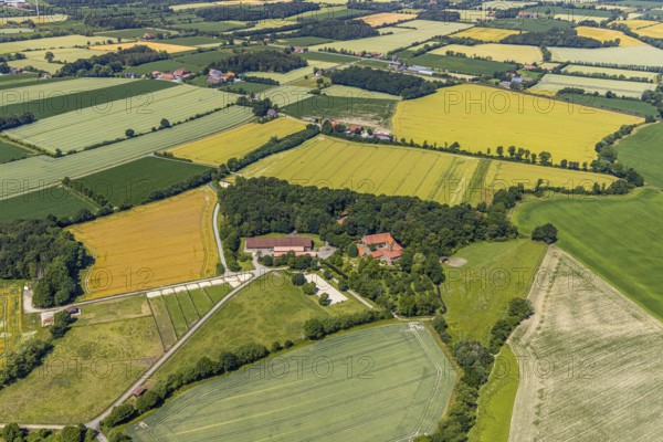 Aerial view, Haus-Giesking stud farm, moated castle, horse stud farm, Appelhülsen, Nottuln, Münsterland, North Rhine-Westphalia, Germany, castle, castle complex, DE, Europe, stud farm, moat, manor house, manor building, farmyard, agricultural fields, aerial view, aerial photography, aerial photography, aerial photography, parcels, horses, equestrian sports, private property, castle complex, castle garden, overview, bird's eye view, wooded area, moat, moated castle, meadows and fields, birds-eyes view, overview
