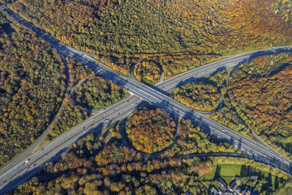 Aerial view, motorway junction Oberhausen, motorway A2, federal road B516, forest area in autumn colours, Königshardt, Oberhausen, Ruhr area, North Rhine-Westphalia, Germany, motorway bridge, motorway junction, bridge, DE, Europe, autumn colours, aerial view, aerial photography, aerial photography, overview, traffic volume, bird's-eye view, forest area, birds-eyes view, overview