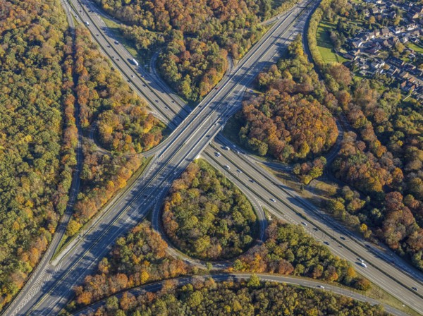 Aerial view, motorway junction Oberhausen, motorway A2, federal road B516, forest area in autumn colours, Alsfeld, Oberhausen, Ruhr area, North Rhine-Westphalia, Germany, motorway bridge, motorway junction, bridge, DE, Europe, autumn colours, aerial view, aerial photography, aerial photography, overview, traffic volume, bird's-eye view, forest area, birds-eyes view, overview