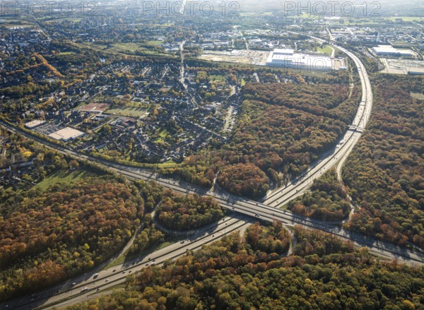 Aerial view, motorway junction Oberhausen, motorway A2, federal road B516, forest area in autumn colours, Schmachtendorf, Oberhausen, Ruhr area, North Rhine-Westphalia, Germany, motorway bridge, motorway junction, bridge, DE, Europe, autumn colours, aerial view, aerial photography, aerial photography, overview, traffic volume, bird's eye view, forest area, birds-eyes view, overview
