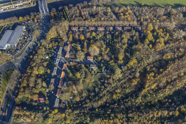 Aerial view, workers' housing estate Ripshorster Straße Werkstraße Thomasstraße, forest area, Borbeck, Oberhausen, Ruhr area, North Rhine-Westphalia, Germany, DE, Europe, property tax, autumn colours, real estate, aerial view, aerial photography, aerial photography, RIWETHO Verein zur Erhaltung der Arbeitersiedlung, overview, bird's-eye view, housing estate, housing and living, residential area, residential buildings, housing quality, residential quarter, housing estate, birds-eyes view, overview