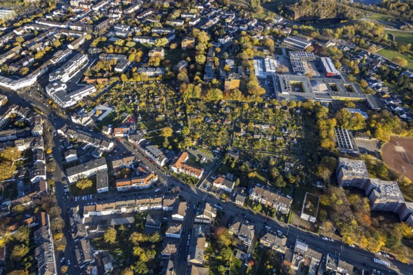 Aerial view, school centre, Städt. Gymnasium Broich, Städt. Realschule Broich, KGV Heisterbusch, Broich - Ost, Mülheim an der Ruhr, Ruhr area, North Rhine-Westphalia, Germany, education, educational institution, DE, Europe, community garden, grammar school, KGV, allotment garden, allotment garden site, allotment garden association, teaching institute, aerial view, aerial photography, aerial photography, secondary school, allotment garden, school, sports field, overview, bird's-eye view, overview