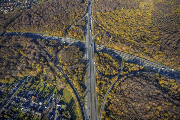 Aerial view, motorway junction Oberhausen, motorway A3, federal road B516, forest area in autumn colours, Schmachtendorf, Oberhausen, Ruhr area, North Rhine-Westphalia, Germany, motorway bridge, motorway junction, bridge, DE, Europe, autumn colours, autumn forest, aerial view, aerial photography, aerial photography, overview, traffic volume, bird's-eye view, forest area, birds-eyes view, overview