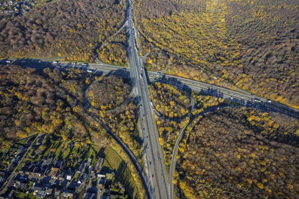Aerial view, motorway junction Oberhausen, motorway A3, federal road B516, forest area in autumn colours, Schmachtendorf, Oberhausen, Ruhr area, North Rhine-Westphalia, Germany, motorway bridge, motorway junction, bridge, DE, Europe, autumn colours, autumn forest, aerial view, aerial photography, aerial photography, overview, traffic volume, bird's-eye view, forest area, birds-eyes view, overview