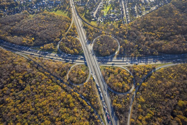 Aerial view, motorway junction Oberhausen, motorway A3, federal road B516, forest area in autumn colours, Schmachtendorf, Oberhausen, Ruhr area, North Rhine-Westphalia, Germany, motorway bridge, motorway junction, bridge, DE, Europe, autumn colours, autumn forest, aerial view, aerial photography, aerial photography, overview, traffic volume, bird's-eye view, forest area, birds-eyes view, overview