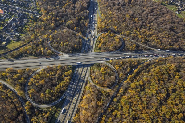 Aerial view, motorway junction Oberhausen, motorway A3, federal road B516, forest area in autumn colours, Schmachtendorf, Oberhausen, Ruhr area, North Rhine-Westphalia, Germany, motorway bridge, motorway junction, bridge, DE, Europe, autumn colours, autumn forest, aerial view, aerial photography, aerial photography, overview, traffic volume, bird's-eye view, forest area, birds-eyes view, overview