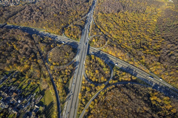 Aerial view, motorway junction Oberhausen, motorway A3, federal road B516, forest area in autumn colours, Schmachtendorf, Oberhausen, Ruhr area, North Rhine-Westphalia, Germany, motorway bridge, motorway junction, bridge, DE, Europe, autumn colours, autumn forest, aerial view, aerial photography, aerial photography, overview, traffic volume, bird's-eye view, forest area, birds-eyes view, overview