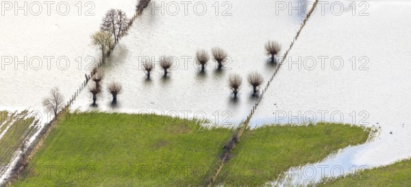 Aerial view, Styrumer Ruhrbogen, city triangle Duisburg-Oberhausen-Mülheim river Ruhr, Linksruhr, Mülheim an der Ruhr, Ruhr area, North Rhine-Westphalia, Germany, trees in the water, DE, Europe, river Ruhr, shapes and colours, flood, aerial view, aerial photography, aerial photography, Ruhraue, Ruhrufer, Speldorfer Straße, overview, bird's eye view, birds-eyes view, overview, flooding